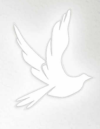 Kyrie Nathan Lingard Obituary